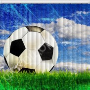 спорт №15